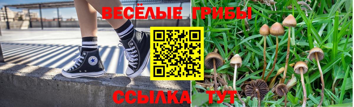 где можно купить   Вход с VPN  Кудымкар  Псилоцибиновые грибы Cubensis 